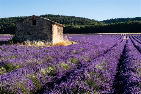 Visiter Le Luberon Et Les Beaux Villages De Provence Globefreelancers