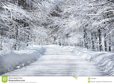 Snow Covered Road Stock Image Image 19659681