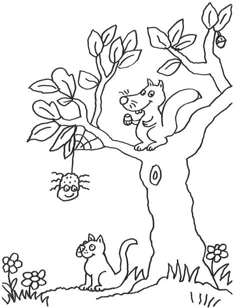 Mit einem ausmalbild wird der zurückhaltende waldbewohner zum dauergast im kinderzimmer. eichhörnchen im baum malvorlage | Coloring and Malvorlagan