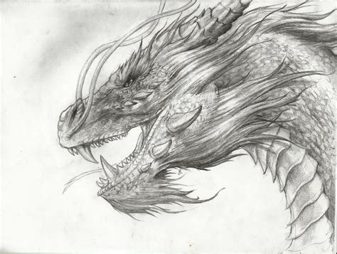 Dragon Por Fedepelle90 Dibujando