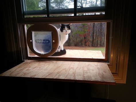 Install a cat door in a window! The Cat Door Window - Phase One - Doug's Blog | Cat door diy, Cat door, Cat patio