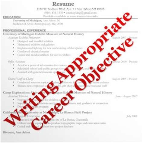 Luckily this article has all the tips and examples you need. Writing Appropriate Career Objective | Placementindia.com ...