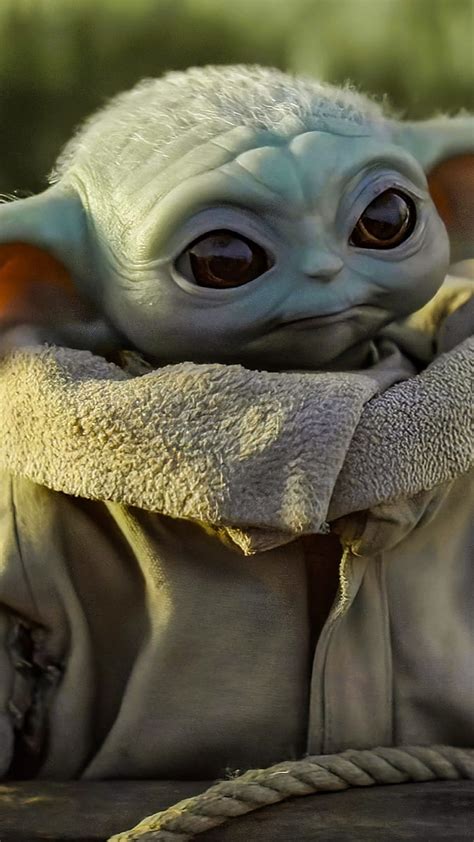 Baby Yoda Grogu Mandalorian Hd Phone Wallpaper Pxfuel