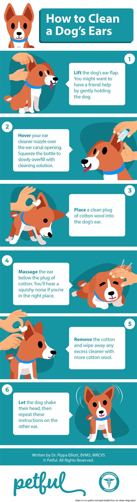 Some may have more than others, whereas there are babies that produce more in one ear than the other. How to Clean Dog Ears: An Expert Guide (Vet-Approved ...