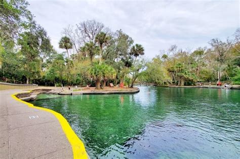 Wekiwa Springs State Park Swimming Near Orlando 🌴 Central Florida