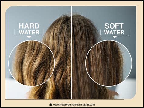 Can Hard Water Damage Your Hair Everything You Need To Know