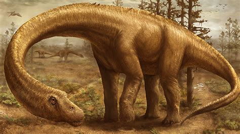 Découverte Dun Dinosaure Supermassif Le Dreadnoughtus Schrani