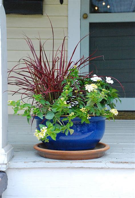 $55.79 usd from the home depot. Summer Party Ideas: Decorating with Potted Plants - The ...