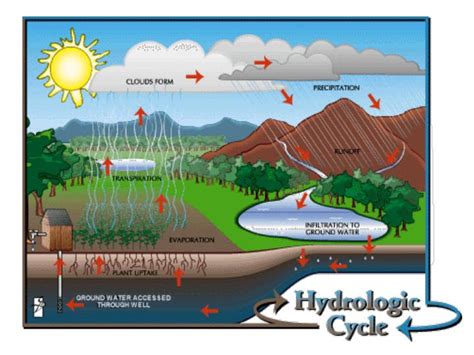 Ppt Groundwater Notes Powerpoint Presentation Id2343003