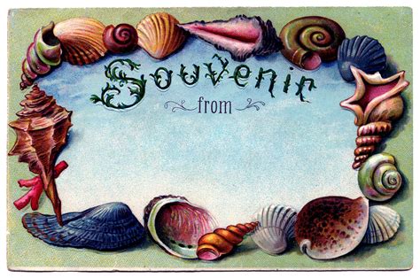 Vintage Clip Art Souvenir Seashell Postcard 2 The