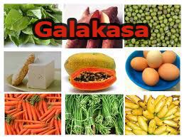 The food choices you make during pregnancy directly affect the well being of your baby. HEALTHY FOODS FOR PREGNANT WOMAN | GALAKASA