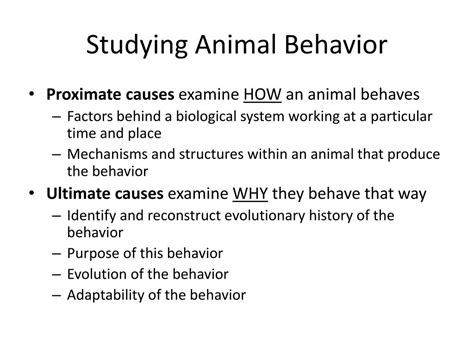 Ppt Animal Behavior Powerpoint Presentation Free Download Id1049290