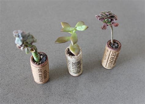 Diy How To Make Adorable Recycled Wine Cork Planters For Under 10