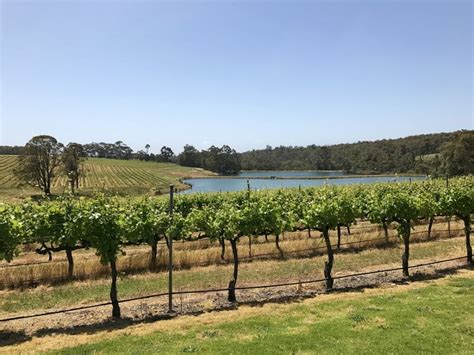 10 Unmissable Vineyards And Wineries To Visit In The Margaret River