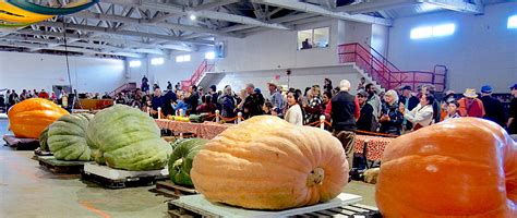 Pumpkinfest 2022 Thousands Of Visitors Take In This Years Event