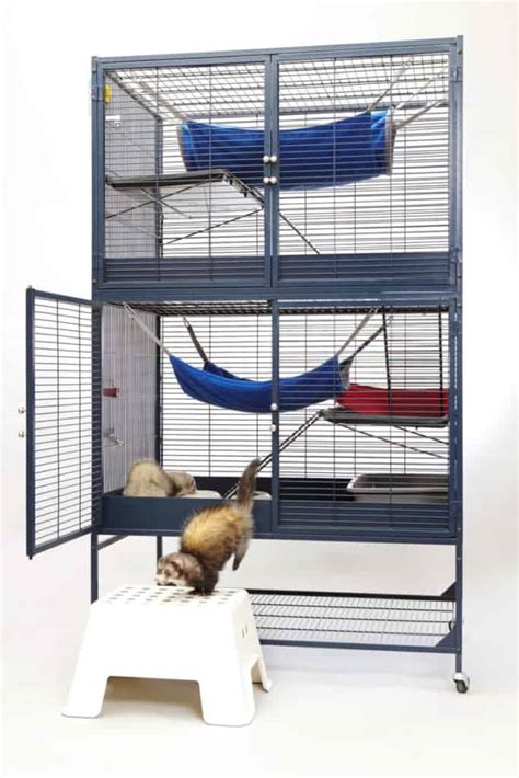 12 Best Cages For Ferrets 2021 Guide