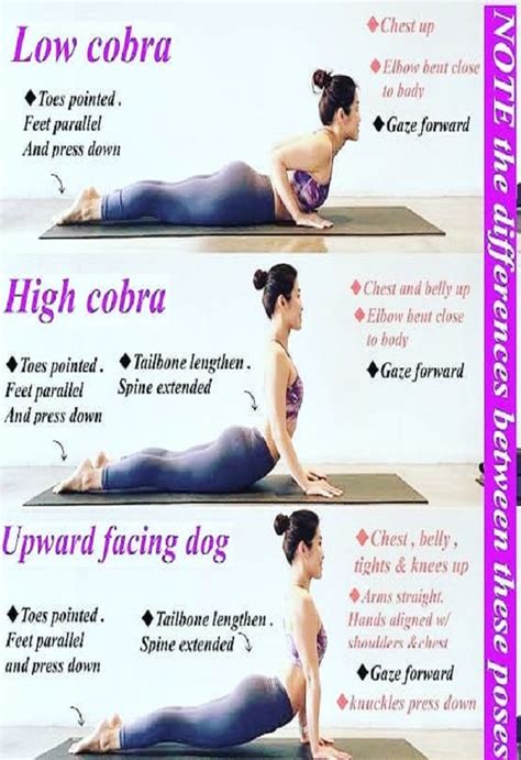 Amazing Benefits Of Cobra And Upward Dog Yoga Pose Yogallai