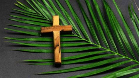 Palm Sunday 2023 Date History Facts About The Palm