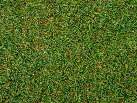 The Texture Of Grass On Green Golf Field Stock Photo Image Of Grey