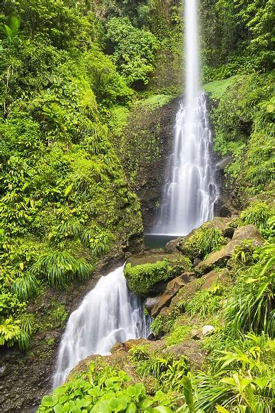 dominica laudat middleham falls is the tallest waterfall 19366526