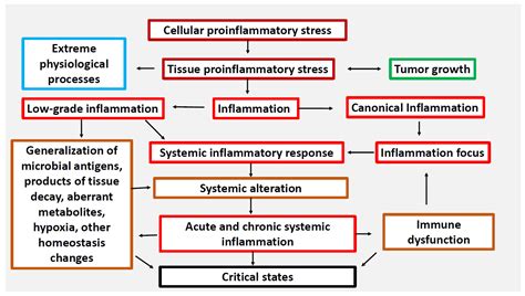 Inflammatory Response Process