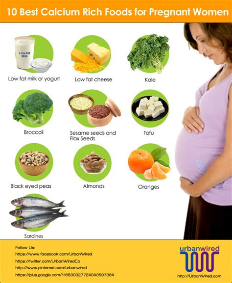 పిల్లల ఆహారం కిడ్స్ ఫుడ్ parenting tips parenting kids food healthy food for kids food items for kids food ideas for kids web title : Daily Diet Plan During Pregnancy - Diet Plan