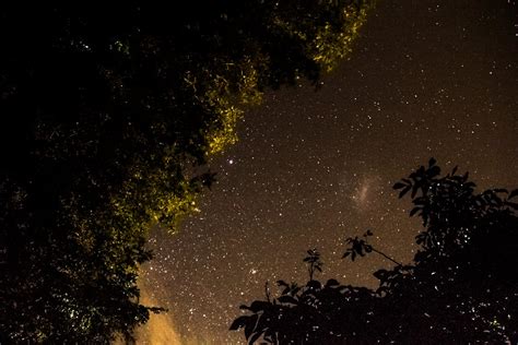 Free Stock Photo Of Galaxy Long Exposure Night