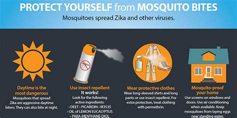 Controlling Mosquitoes At Home Zika Virus Cdc