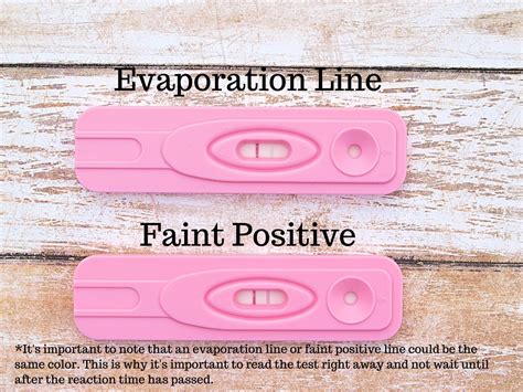 How To Interpret The Results Of An Evap Line On A Pregnancy Test