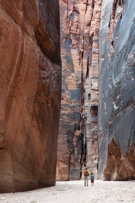 Buckskin Gulch In Paria Canyon Kanab Area Utah Is The Longest And