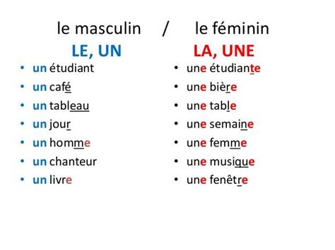 Le Féminin Et Le Masculin En Français