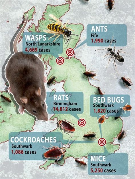 These Are The Uks Most Vermin Infested Areas Metro News