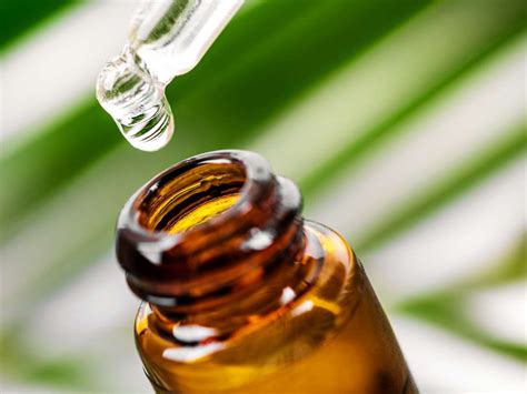 Tea tree oil does not seem to prevent mrsa infection. Dermatology News from Medical News Today