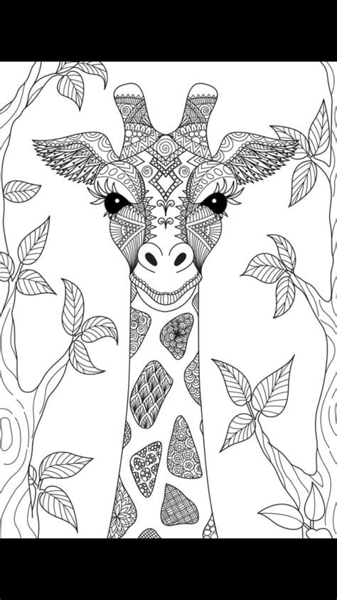 Mandala Colouring Twinkl Coloring Pages