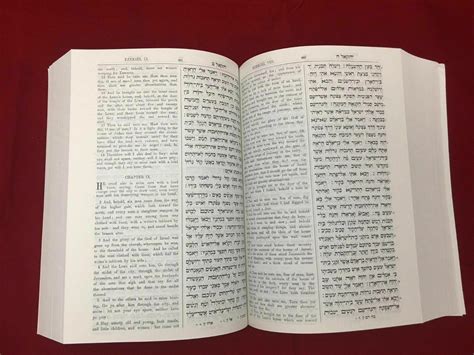 hebrew english holy bible book tanakh torah nevi im ketuvim old testam