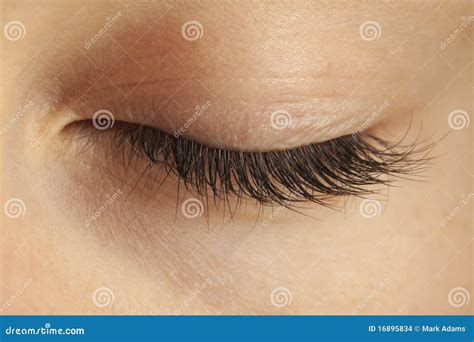 Close Up Of Closed Eye Stock Images Image 16895834