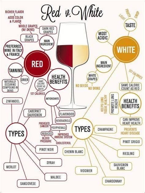 Types Of Red Wine Chart