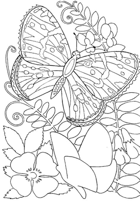 Get This Butterfly Coloring Pages To Print For Adults 90037