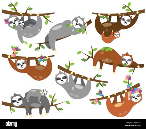 Vector Collection Of Cute Sloths In Different Positions And With Babies