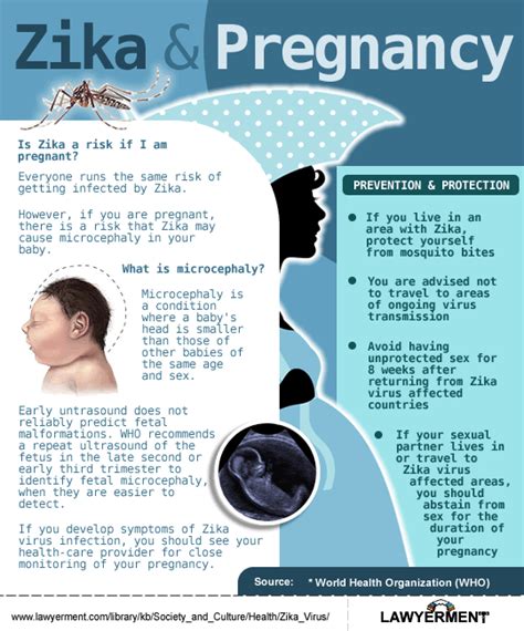 Infographic Zika And Pregnancy Zika Virus Lawyerment Knowledge Base