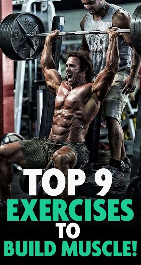 Here Are The Top 9 Exercises For The Perfect Muscle Building Workout