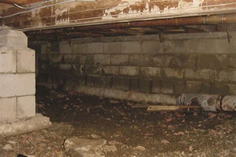 If you have asthma or allergies, mold can cause eye irritation, cough, congestion, and skin irritation. 11 Ways to Remove Mold in Basement | Mold in Basement ...