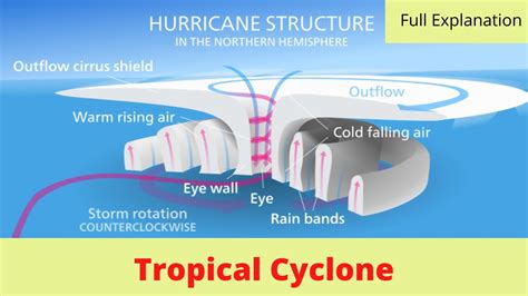 What Is Tropical Cyclone How It Is Formed Structure Of Tropical
