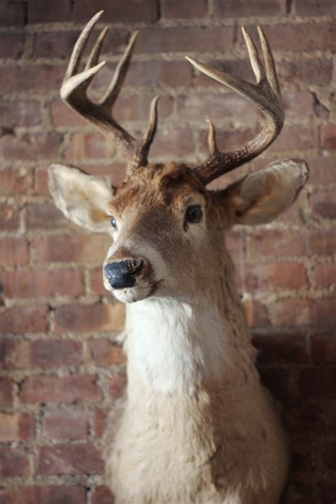 We did not find results for: Sid and Linda: A Picture an Hour