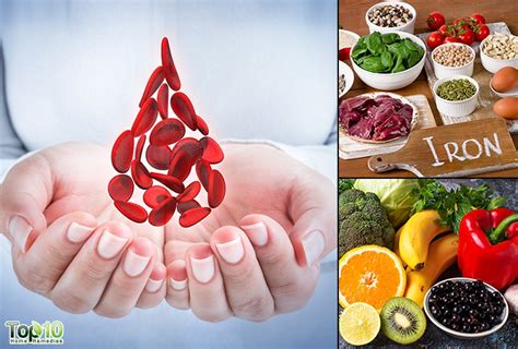 For iron needed to be absorbed you. 6 Foods to Boost Your Low Hemoglobin Level | Top 10 Home ...