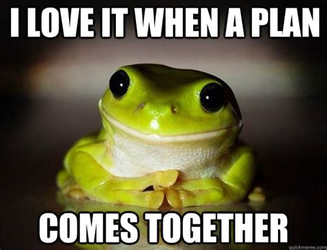 I Love It When A Plan Comes Together Fascinated Frog Quickmeme