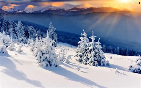 Viewes Snow Great Sunsets Trees Winter Mountains Valley