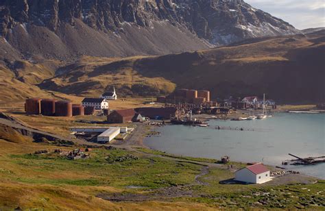 Grytviken South Georgia
