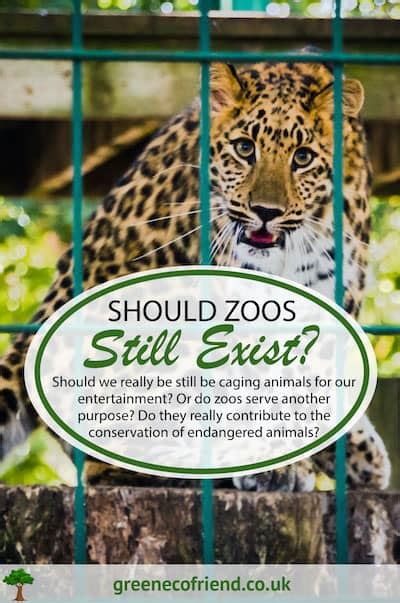 All Zoos Should Be Closed Down And Captive Animals Rehabilitated Why