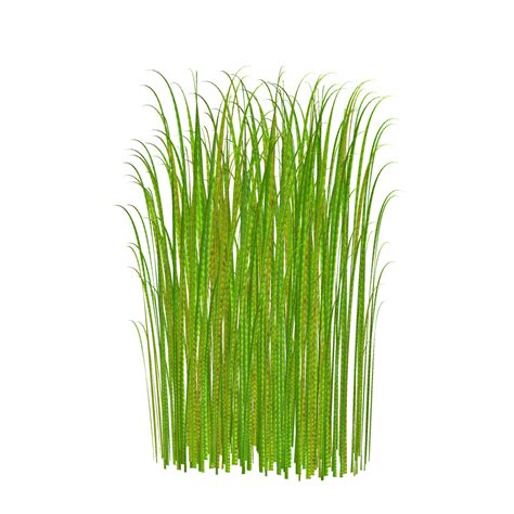 Grass Clip Art Free Free Clipart Images
